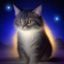 用户夜猫子777的头像，伊人久久FAQ读者